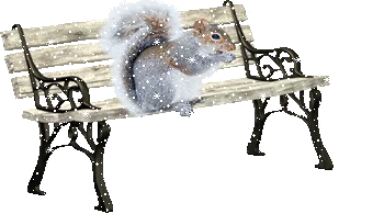 Image 0980383 20201214 ob d9de76 banc ecureuil